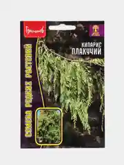 Кипарис Плакучий (семена,цветы)