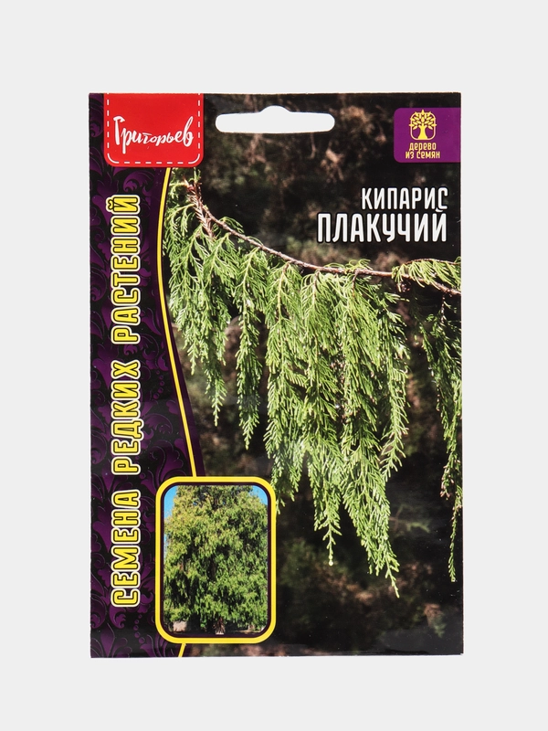 Кипарис Плакучий (семена,цветы)