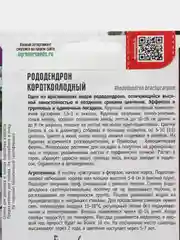 Рододендрон Короткоплодный (семена, цветы)