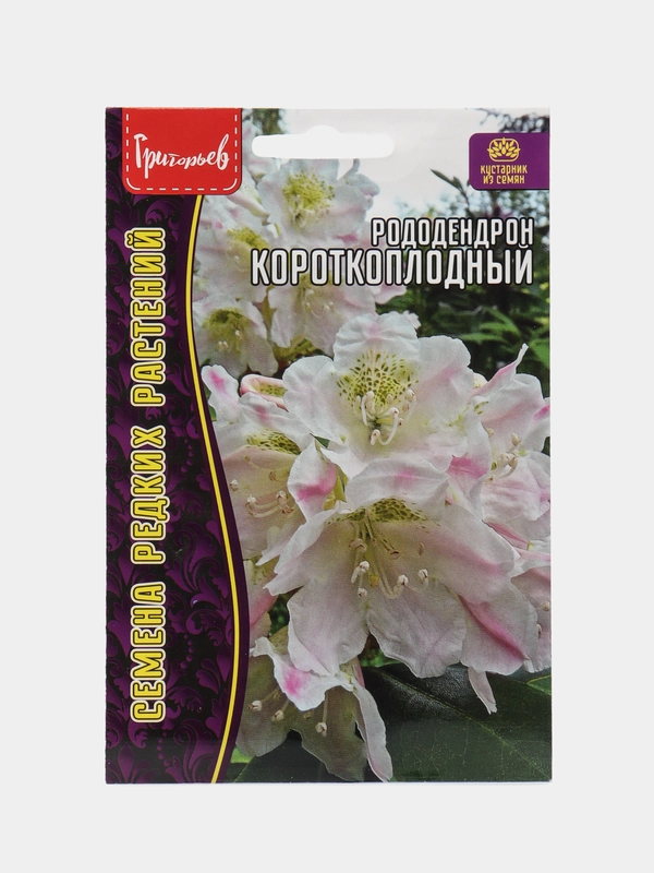 Рододендрон Короткоплодный (семена, цветы)