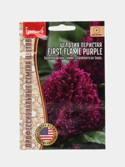 Целозия перистая First Flame Purple (семена, цветы)