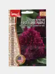 Целозия перистая First Flame Purple (семена, цветы)