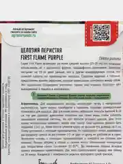 Целозия перистая First Flame Purple (семена, цветы)