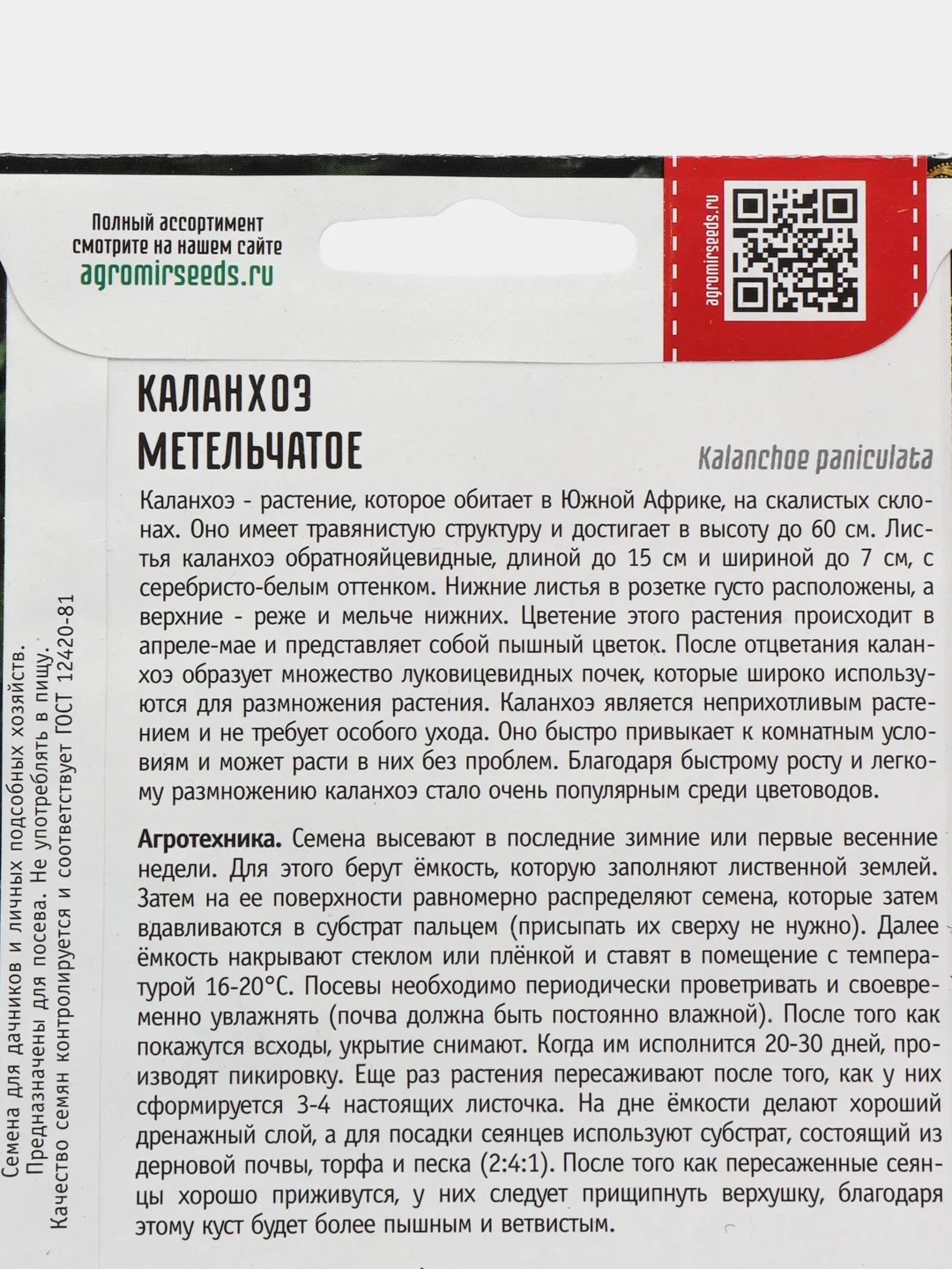 Каланхоэ Метельчатое (семена,цветы)