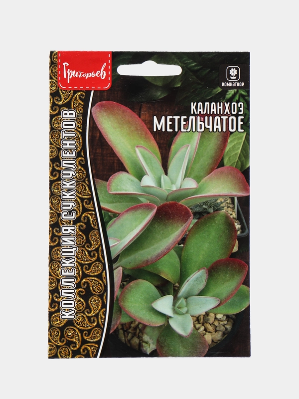 Каланхоэ Метельчатое (семена,цветы)