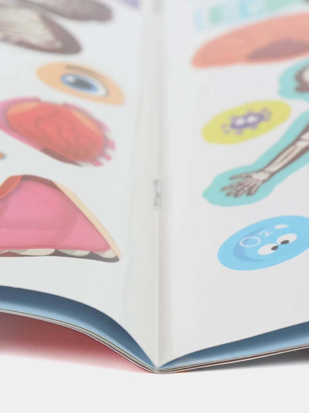 Оранжевый наклейки книга тетрадь "Как устроено моё тело", 16 стр