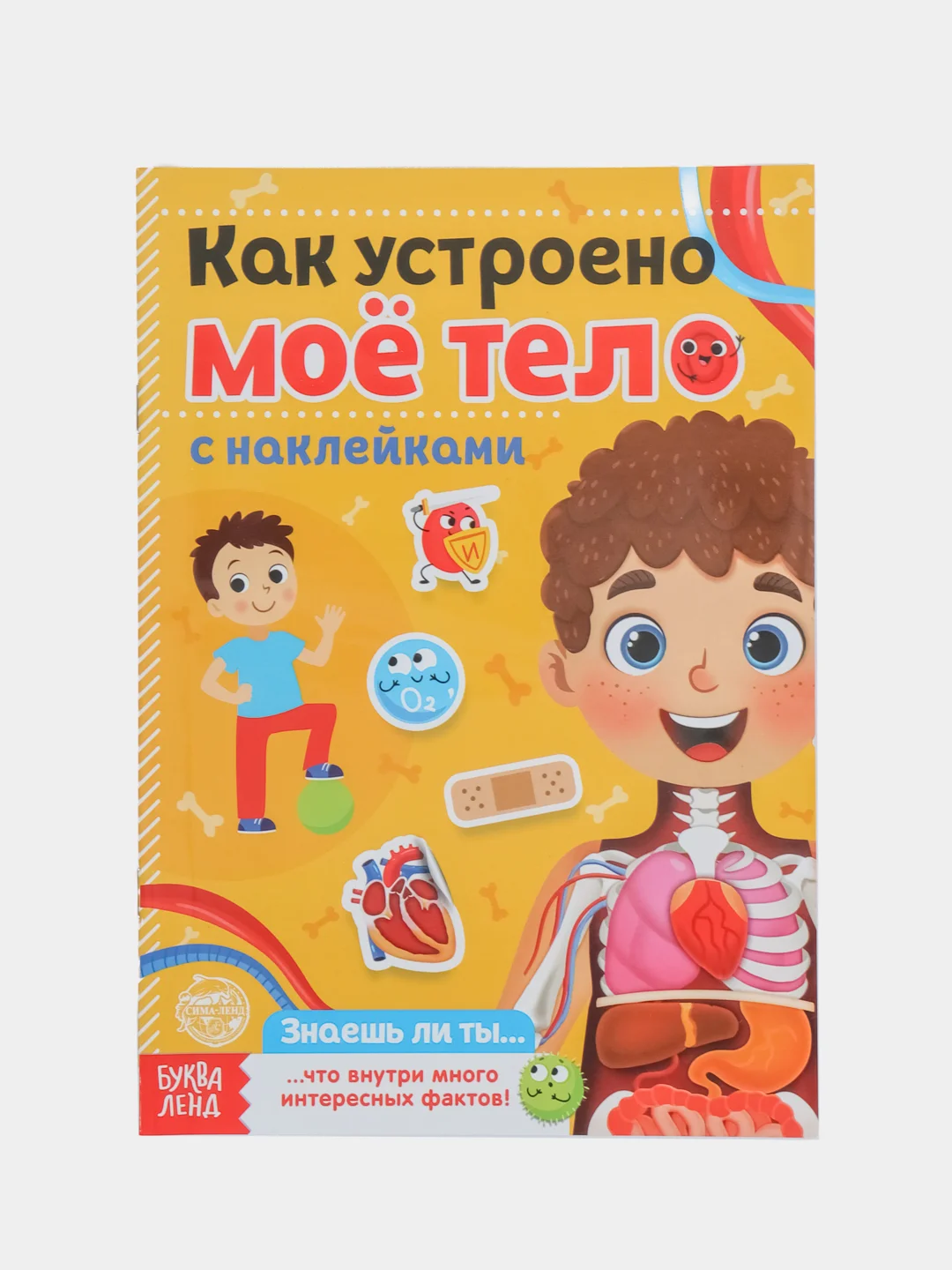 Оранжевый наклейки книга тетрадь "Как устроено моё тело", 16 стр