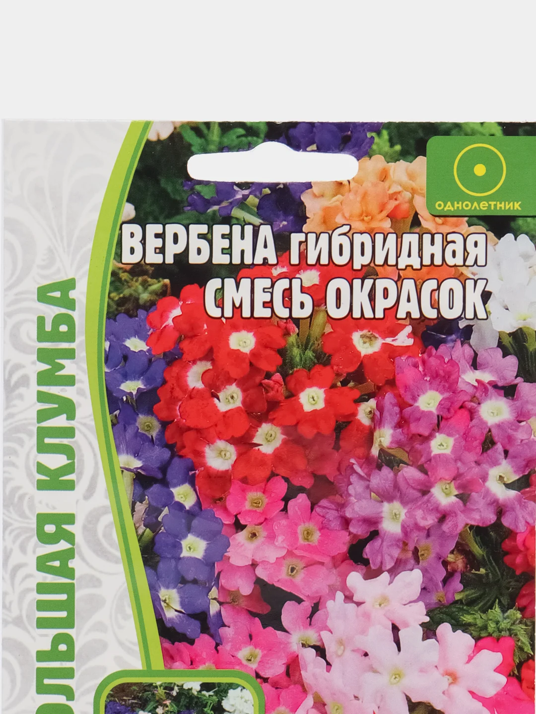 Вербена гибридная Смесь Окрасок (семена,цветы)