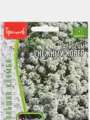 Алиссум (лобулярия) Снежный Ковёр (семена,цветы)