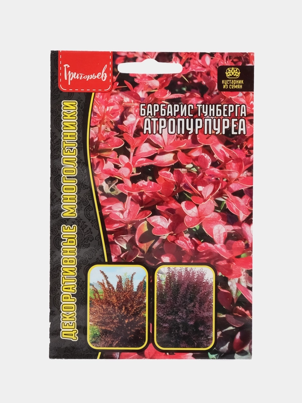 Барбарис Тунберга Атропурпуреа (семена,цветы)