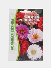 Георгина Бронзовая смесь (семена,цветы)