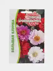 Георгина Бронзовая смесь (семена,цветы)