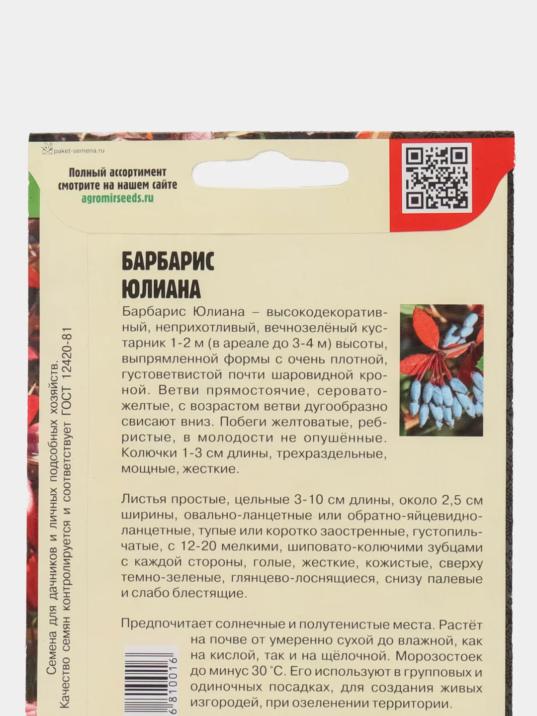 Барбарис Юлиана (семена,цветы)
