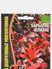 Барбарис Юлиана (семена,цветы)