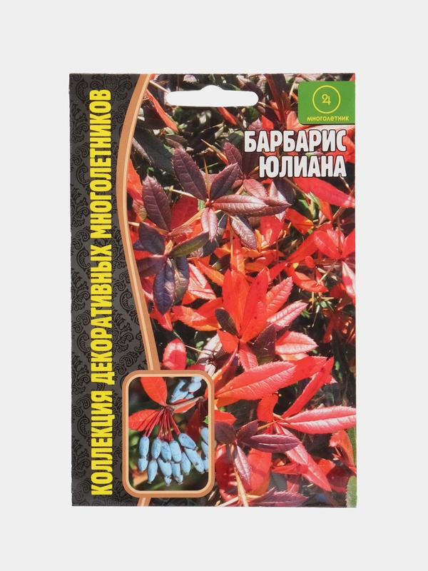 Барбарис Юлиана (семена,цветы)