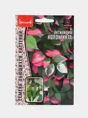 Актинидия Коломикта (семена,цветы)