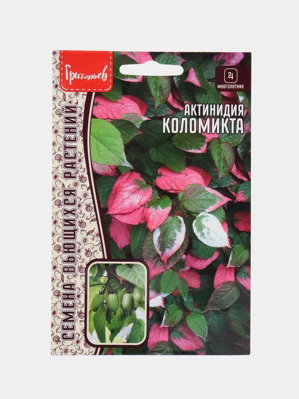 Актинидия Коломикта (семена,цветы)