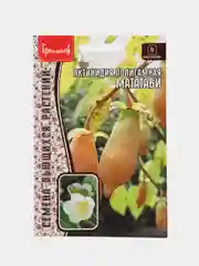 Актинидия полигамная Мататаби (семена,цветы)