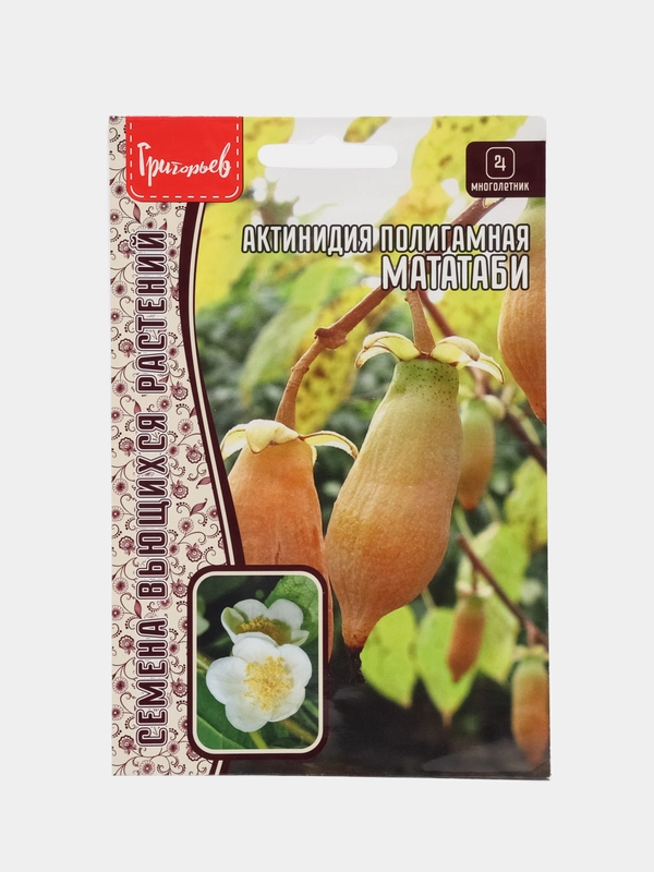 Актинидия полигамная Мататаби (семена,цветы)