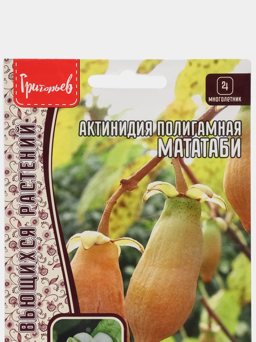 Актинидия полигамная Мататаби (семена,цветы)