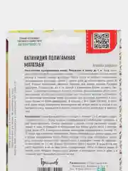 Актинидия полигамная Мататаби (семена,цветы)