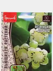 Актинидия Аргута (семена,цветы)