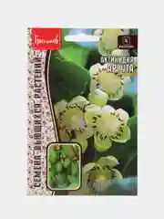 Актинидия Аргута (семена,цветы)