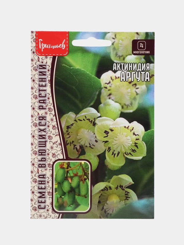 Актинидия Аргута (семена,цветы)