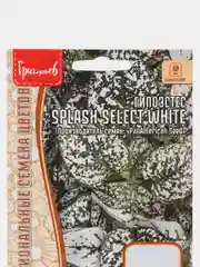 Гипоэстес Splash Select White (семена,цветы)