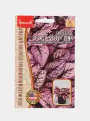 Гипоэстес Splash Select Pink (семена,цветы)