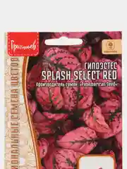 Гипоэстес Splash Select Red (семена,цветы)