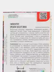 Гипоэстес Splash Select Rose (семена,цветы)