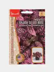 Гипоэстес Splash Select Rose (семена,цветы)