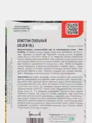 Алиссум скальный Golden Fall (семена,цветы)