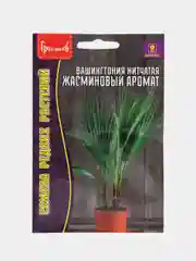 Вашингтония нитчатая Жасминовый Аромат (семена,цветы)