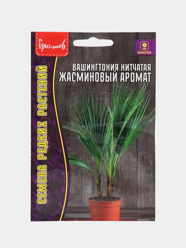 Вашингтония нитчатая Жасминовый Аромат (семена,цветы)