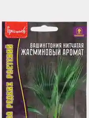 Вашингтония нитчатая Жасминовый Аромат (семена,цветы)