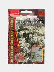 Алиссум ампельный Clear Crystal White F1 (семена,цветы)