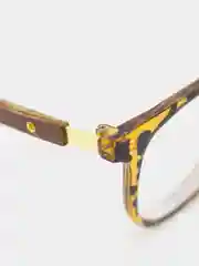 Коричневый очки для зрения при близорукости с диоптриями "-"
