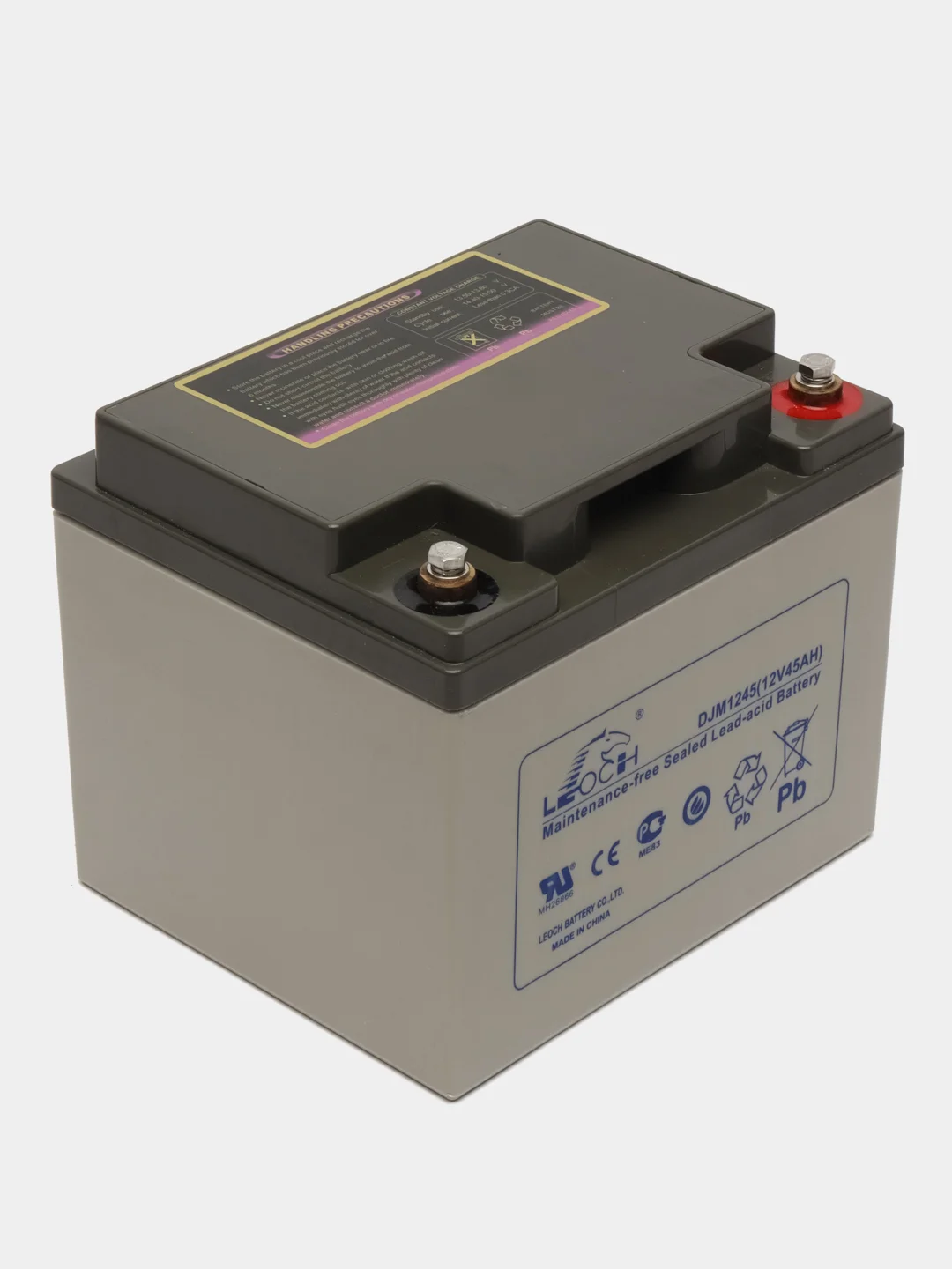 DJM1245 LEOCH