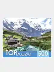 Манго пазлы, 500 элементов