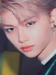 Зеленый тканевый плакат, гобелен Stray Kids, плакат Кпоп, Kpop, стрей кидс
