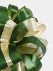 Зеленый бант упаковочный для подарка