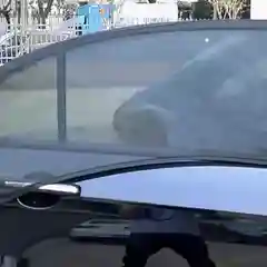 Москитная сетка на окна автомобиля 2,4 шт