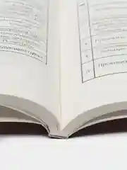 Инструкция по ремонту CHERY FORA ч/б