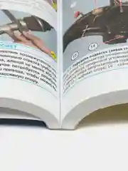 Книга Ремонт без проблем FORD FOCUS