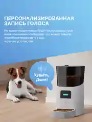 Автоматическая кормушка для кошек и собак 6 литров, Wi-Fi. Автокормушка дозатор с таймером