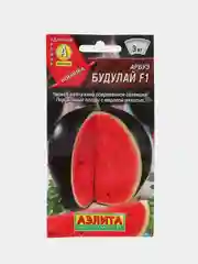 Арбуз Будулай Аэлита