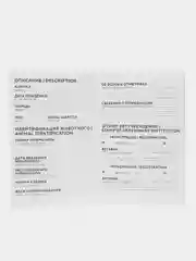 Голубой ветеринарный паспорт для кошек и собак
