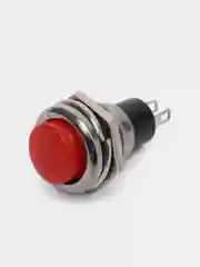 Кнопочный переключатель RUICHI DS-216 OFF-(ON)
